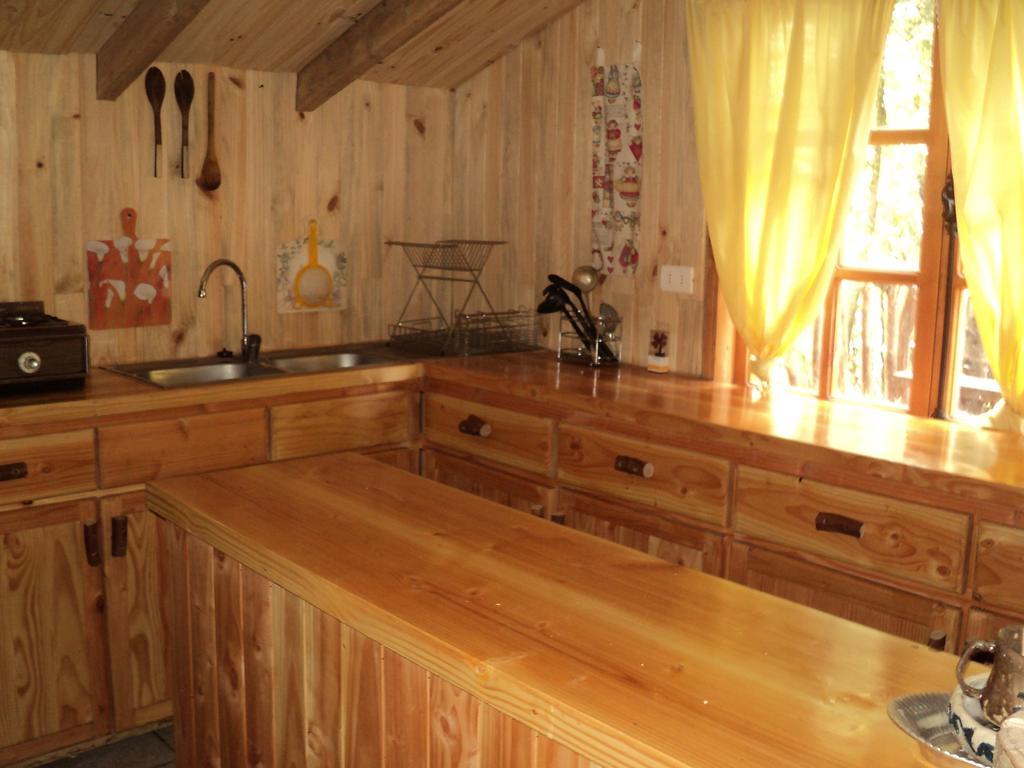 Cabana Rustica Patagonia Chilena Coñaripe 객실 사진