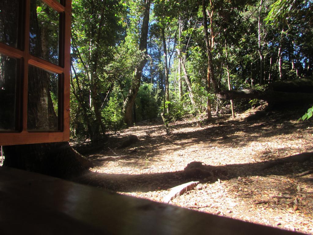 Cabana Rustica Patagonia Chilena Coñaripe 객실 사진