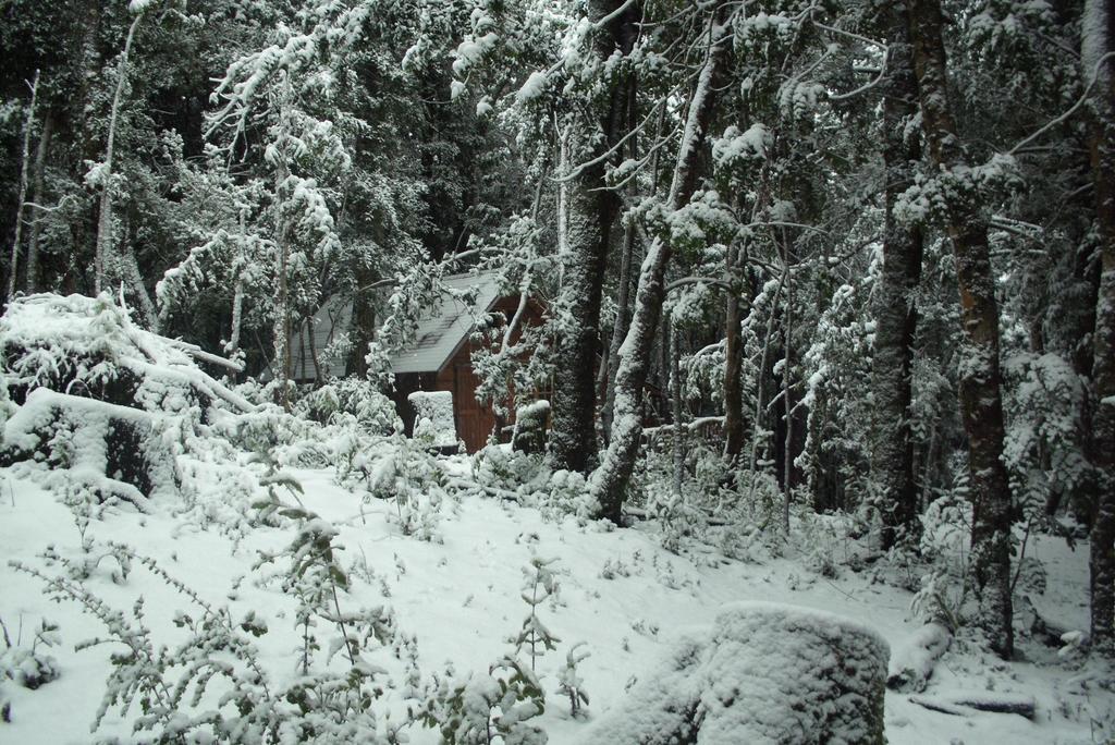Cabana Rustica Patagonia Chilena Coñaripe 객실 사진