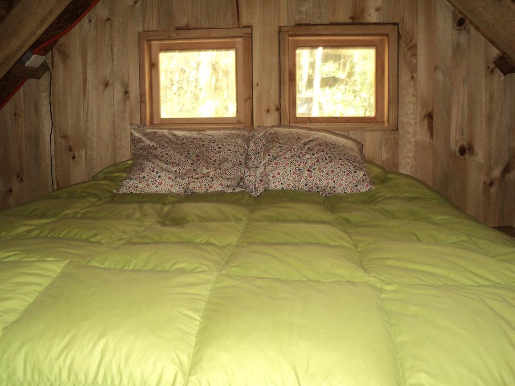Cabana Rustica Patagonia Chilena Coñaripe 객실 사진
