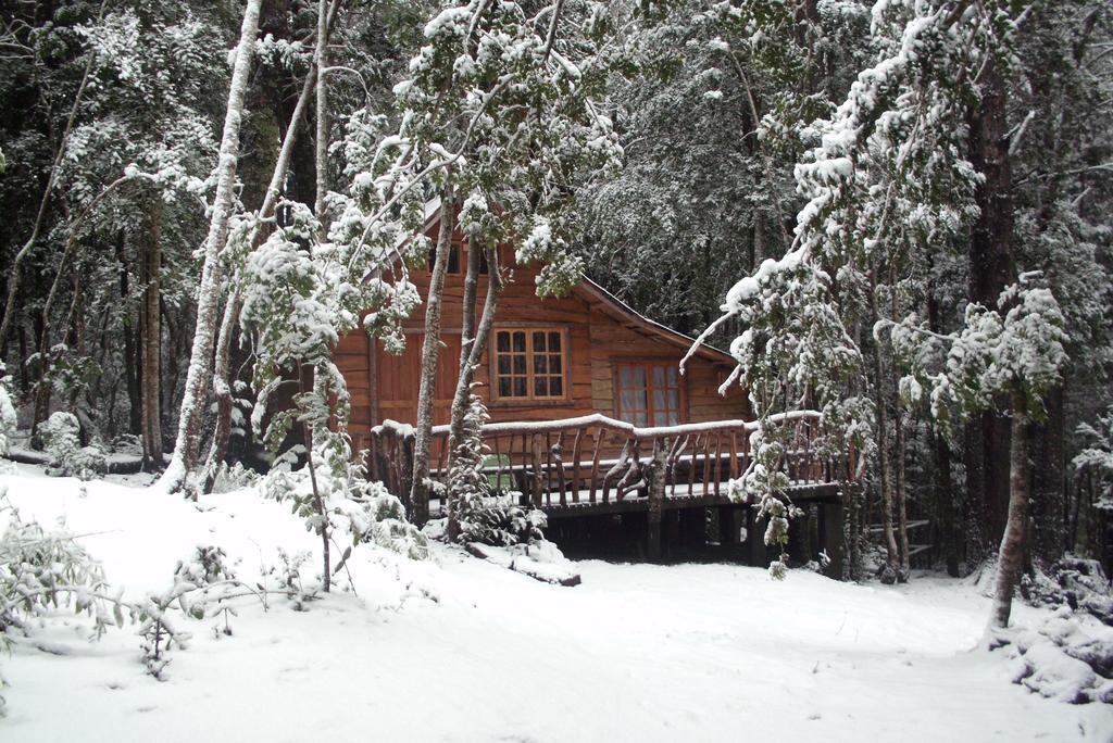 Cabana Rustica Patagonia Chilena Coñaripe 객실 사진