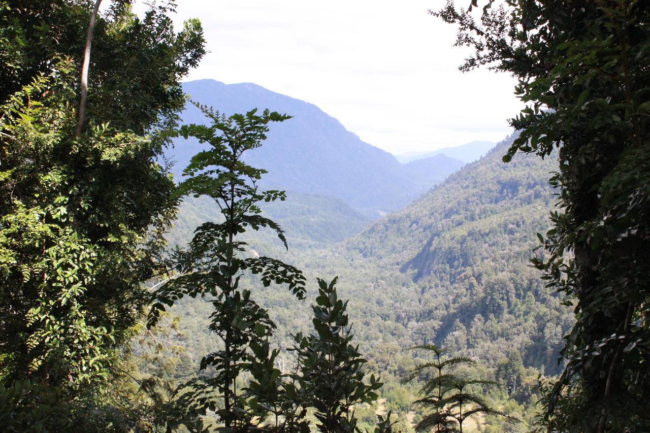 Cabana Rustica Patagonia Chilena Coñaripe 외부 사진
