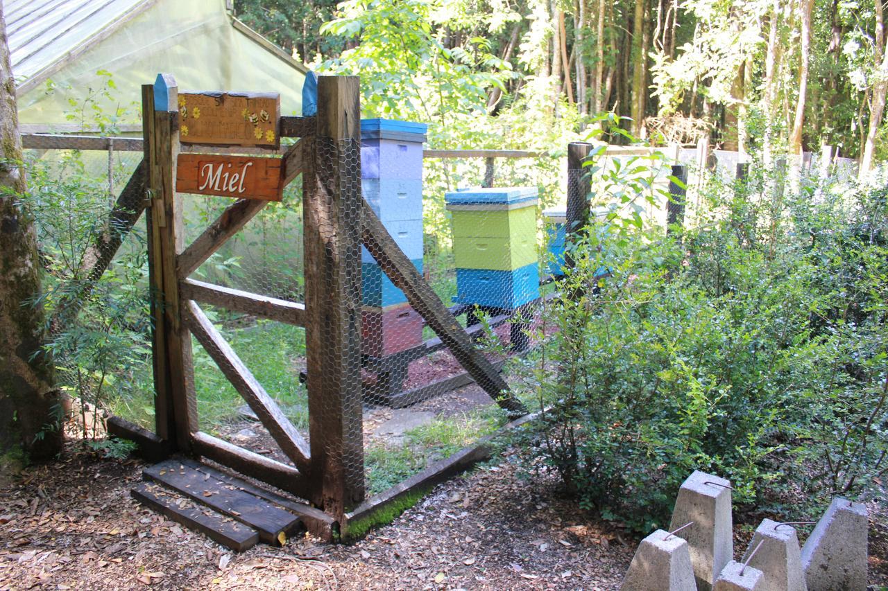 Cabana Rustica Patagonia Chilena Coñaripe 외부 사진