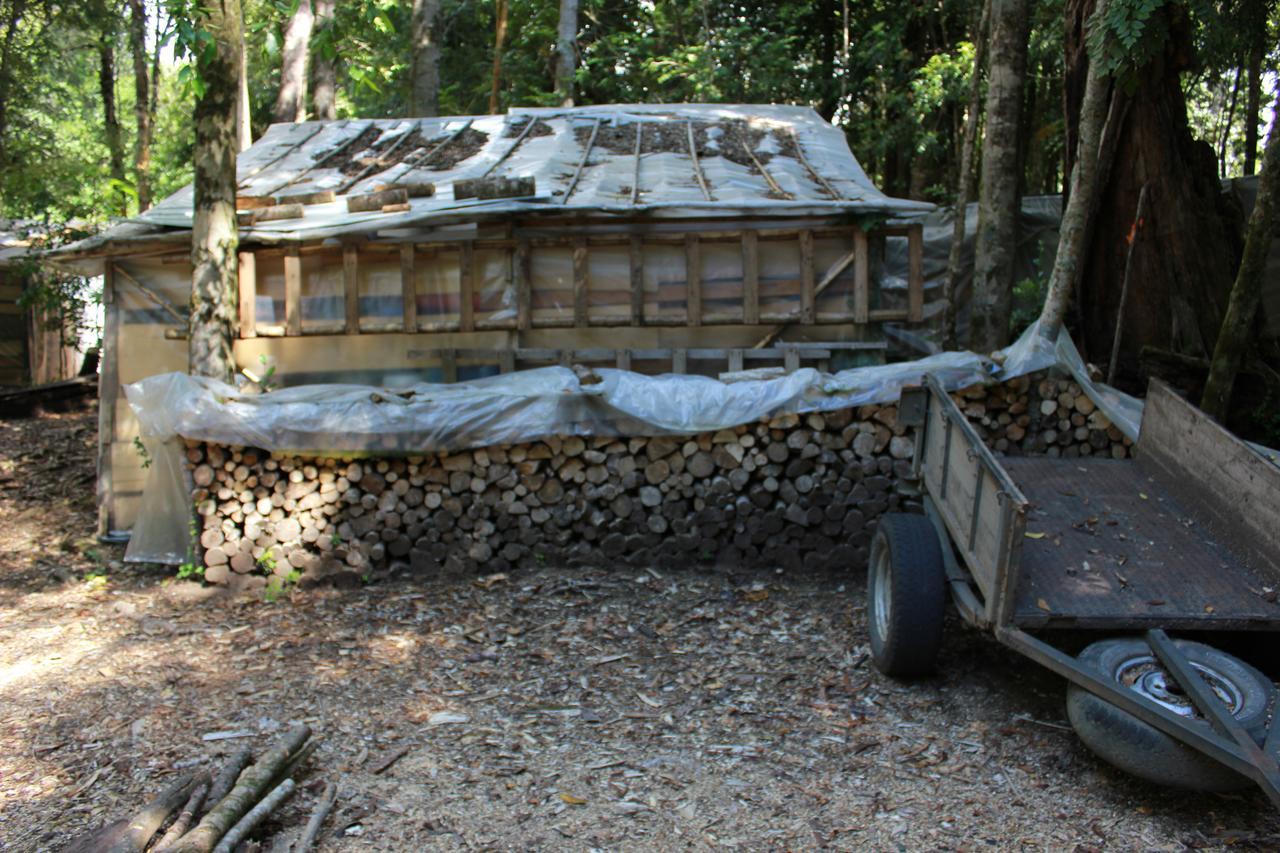 Cabana Rustica Patagonia Chilena Coñaripe 외부 사진